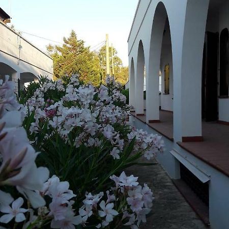 Il Lentisco Apartment Marina di Mancaversa Exterior photo