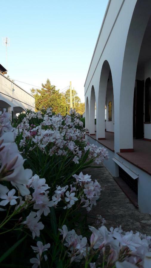 Il Lentisco Apartment Marina di Mancaversa Exterior photo